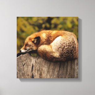 Skriv ut foxCanvas Canvastryck