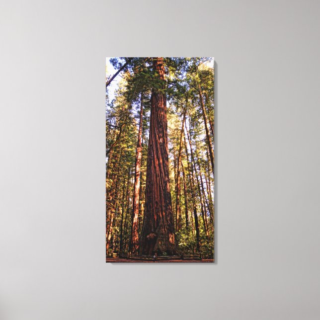 Skriv ut Giant Sequoia Redwood Wrapped Canvas (Framsida)