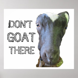 Skriv ut Goat "FÅR INTE DÄR" Poster