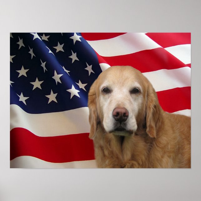 Skriv ut Golden Retriever American Flagga Poster (Framsidan)