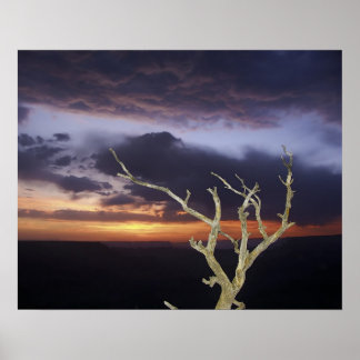 Skriv ut - Grand Canyon Sunset Poster