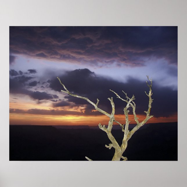 Skriv ut - Grand Canyon Sunset Poster (Framsidan)
