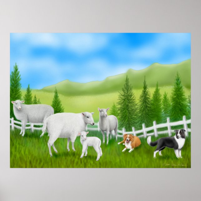 Skriv ut gräns Collies & Sheep Flock Poster (Framsidan)