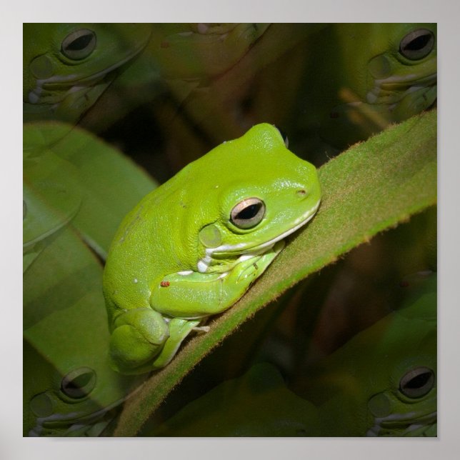 Skriv ut grova reflektioner poster (Framsidan)