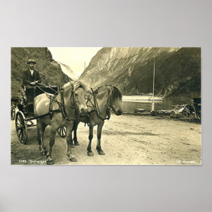 Skriv ut - Gudvangen, Norge Poster