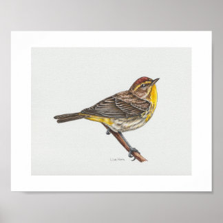 Skriv ut handflatan Warbler Art Poster