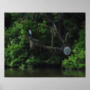 Skriv ut Heron och Lazy River Poster