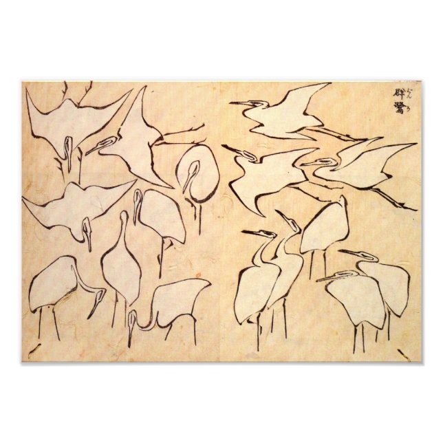 Skriv ut Hokusai Cranes Fototryck (Framsidan)