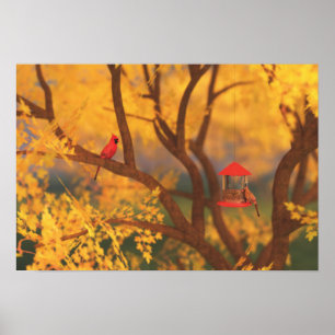 Skriv ut hösten Guardian Poster