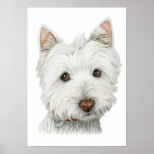 Skriv ut Hund Cute Westie Poster