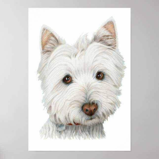 Skriv ut Hund Cute Westie Poster (Framsidan)