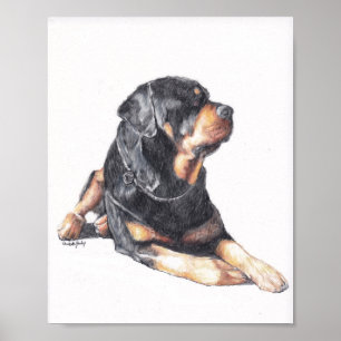 Skriv ut Hund för Rottweiler Lay Poster
