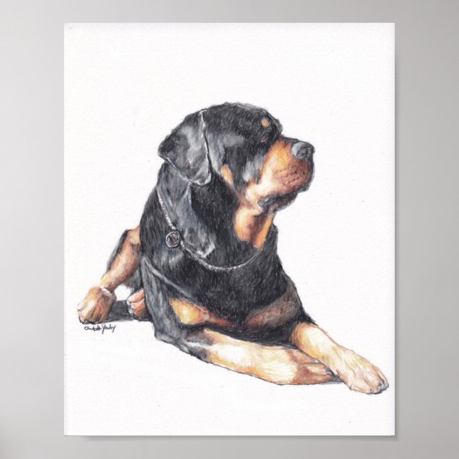 Skriv ut Hund för Rottweiler Lay Poster (Framsidan)