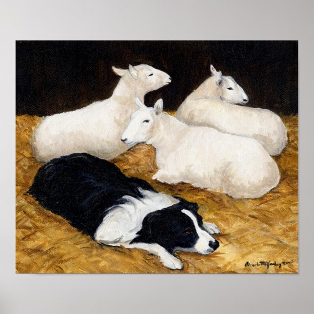 Skriv ut Hund Gräns Collie and Sheep Art Poster (Framsidan)