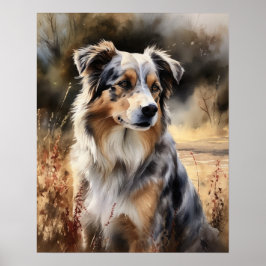 Skriv ut Hund i Cute Australian shepherd Poster