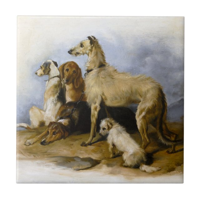 Skriv ut Hundraser för Vintage Kakelplatta (Framsidan)