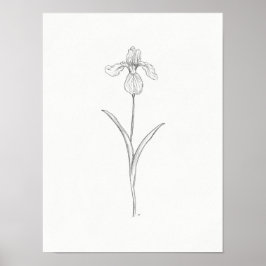 Skriv ut i Iris Flower Sketch Poster