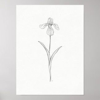 Skriv ut i Iris Flower Sketch Poster