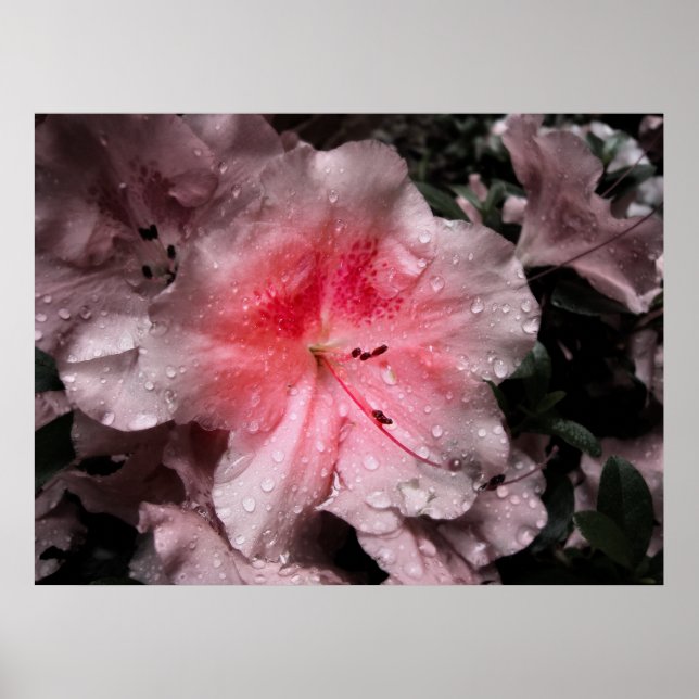 Skriv ut inre glöd poster (Framsidan)