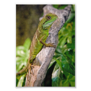 Skriv ut kinesiska Vatten Fototryck