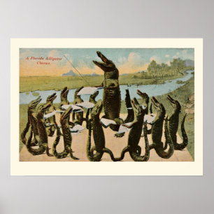 Skriv ut Krokodiler Poster