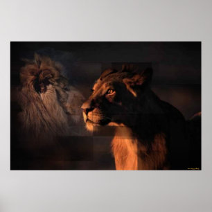 Skriv ut lejon poster