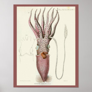 Skriv ut Lila Cephalopod Sea Creatures Art Poster