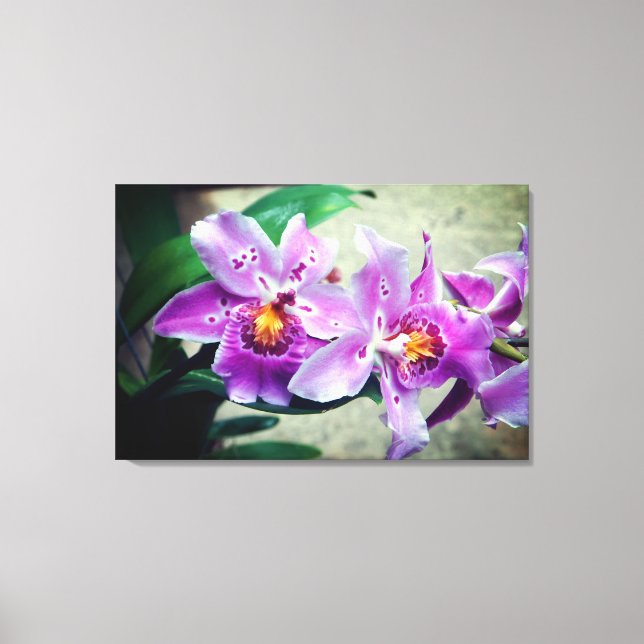 Skriv ut lila Orchids Wrapped Canvas (Framsida)