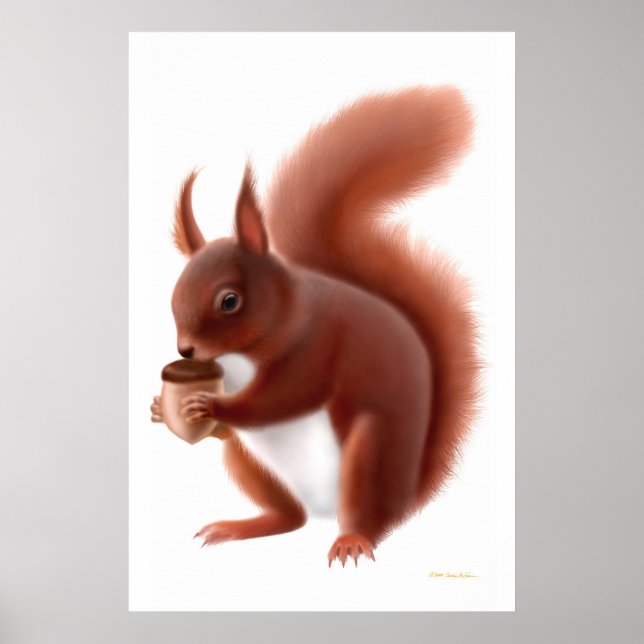 Skriv ut "Little Red Squirrel" Poster (Framsidan)