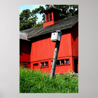 Skriv ut Lodrät där Meadowlarver Sjunga  Gallery Poster