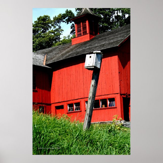 Skriv ut Lodrät där Meadowlarver Sjunga  Gallery Poster (Framsidan)