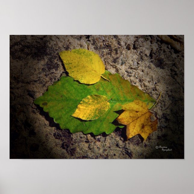 Skriv ut Löv för att kopiera kopiering Poster (Framsidan)