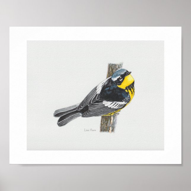 Skriv ut Magnolia Warbler Art Poster (Framsidan)