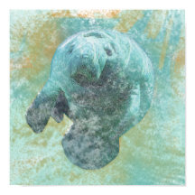 Skriv ut ManateSea Cow Art