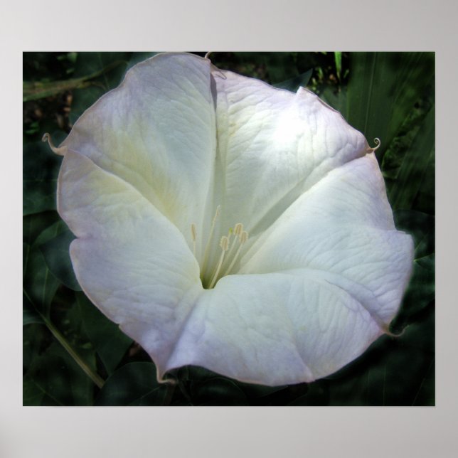 Skriv ut måne poster (Framsidan)