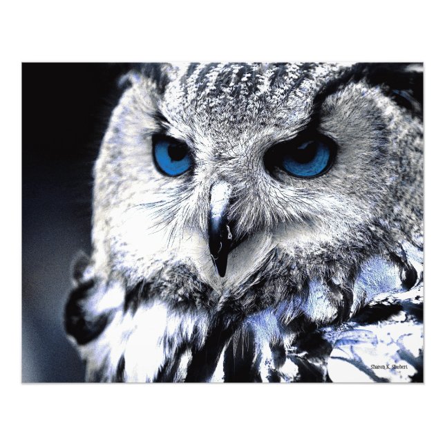 Skriv ut med Blue Eyed Uggla Art Fototryck (Framsidan)