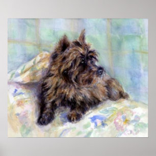 Skriv ut med Cairn Terrier Porträtt Poster Skriv u