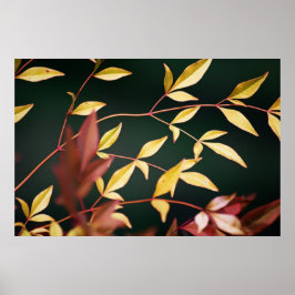 Skriv ut med rött och Guld Poster