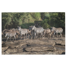 Skriv ut Metall på den naturliga afrikanska instäl