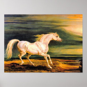 Skriv ut: Napoleons Marengo Poster