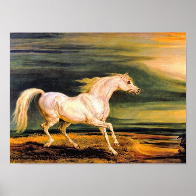 Skriv ut: Napoleons Marengo Poster (Framsidan)