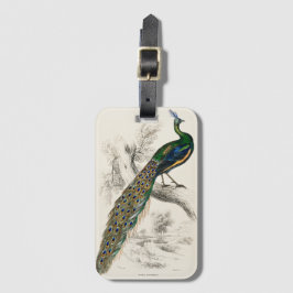 Skriv ut naturhistorik för vintagen Peacock Bagagebricka