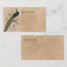 Skriv ut naturhistorik för vintagen Peacock