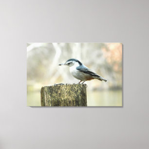 Skriv ut nuthatch med solrosfrö canvastryck