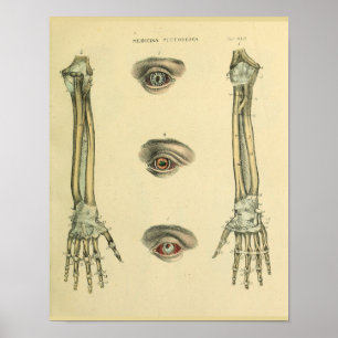 Skriv ut Öga Anatomy Art arm Hand Bones Poster