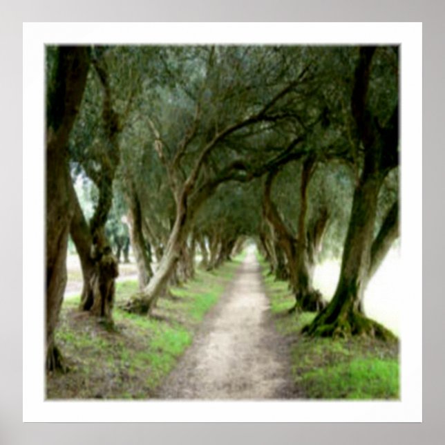 Skriv ut Olive Garden Poster (Framsidan)