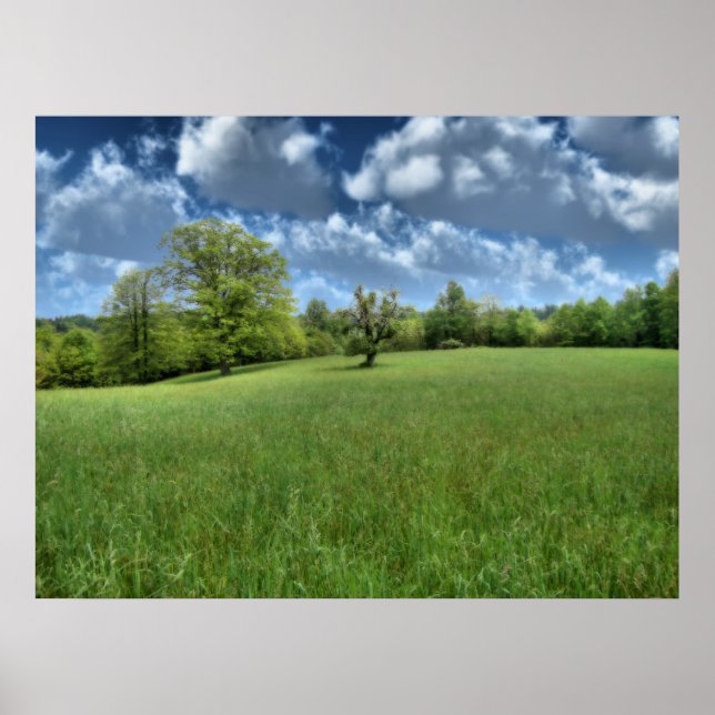 Skriv ut på Appalachian Grönt Poster (Framsidan)