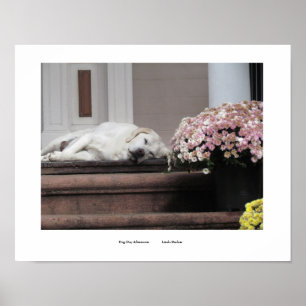 Skriv ut på eftermiddagen hund poster