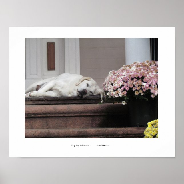 Skriv ut på eftermiddagen hund poster (Framsidan)