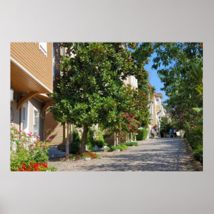 Skriv ut på gatan i Istanbul Poster